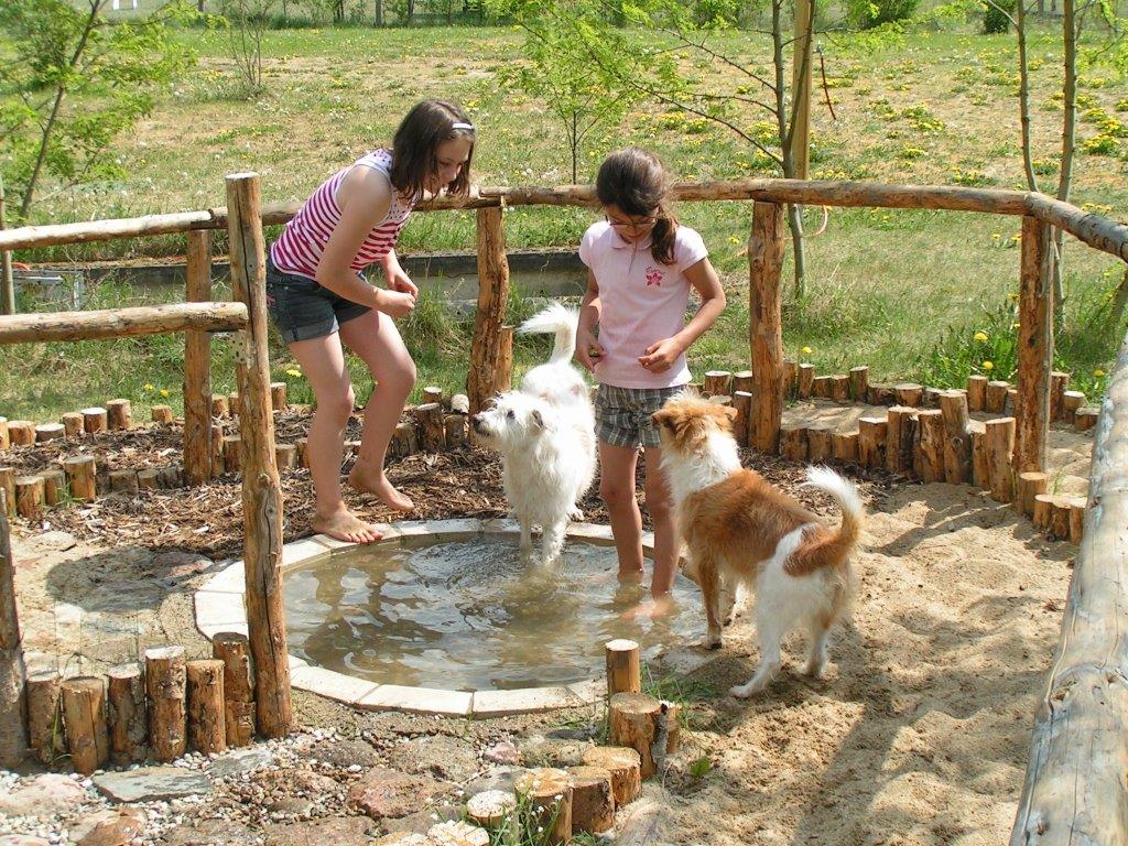 Hunde und Kinder im Plantschbecken
